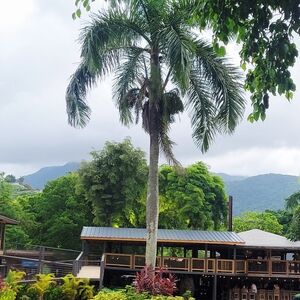 Meet your Posher, Bianca